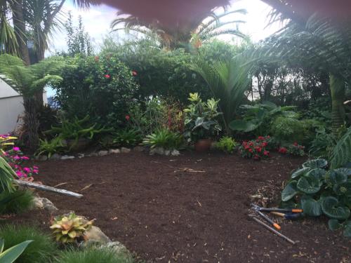 a garden with a bunch of plants and flowers at Breeze Inn in Parua Bay