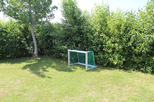 a goal sitting in the grass next to some bushes at vrijstaande ruime familiewoning landelijk gelegen in Lewedorp