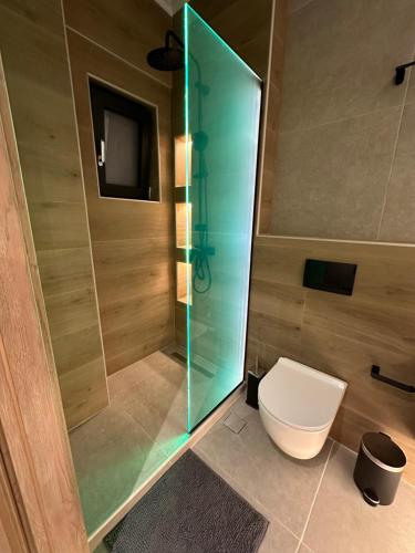 W łazience znajduje się toaleta i przeszklony prysznic. w obiekcie Olive-Luxury apartment in agrinio w mieście Agrinio