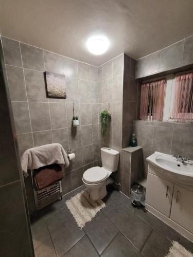 a bathroom with a toilet and a sink at Cozy room London in Enfield