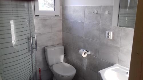 a bathroom with a toilet and a sink at Kamieńczyk domek nad jeziorem z dostępem do pomostu in Kamieńczyk Dezerta
