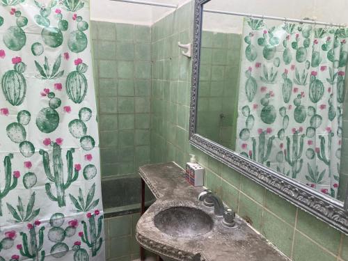 ein Badezimmer mit einem Waschbecken und einem Duschvorhang mit Kaktus in der Unterkunft Depto a una cuadra de costanera Gualeguaychú hta 4 personas in Gualeguaychú