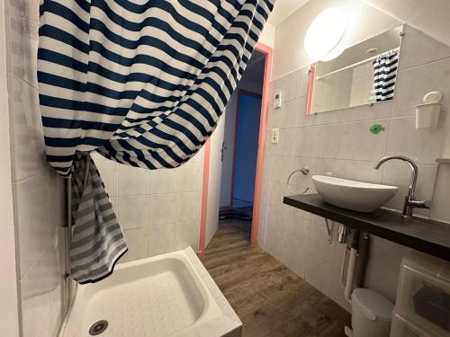 y baño con lavabo, aseo y ducha. en Appartement Bordères-Louron 3 à 5 personnes 3 étoiles, proche Loudenvielle, en Bordères-Louron
