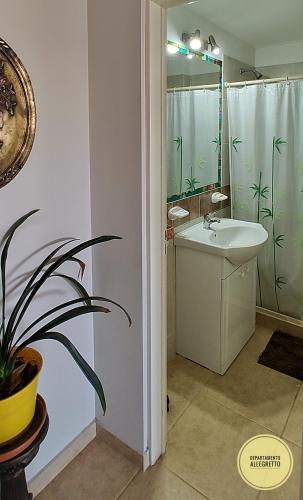 a bathroom with a sink and a shower and a plant at Departamento Allegretto Monoambiente in San Luis