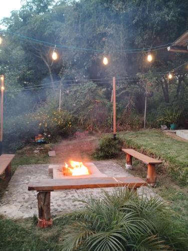 Un jardín fuera de Granja Triple A