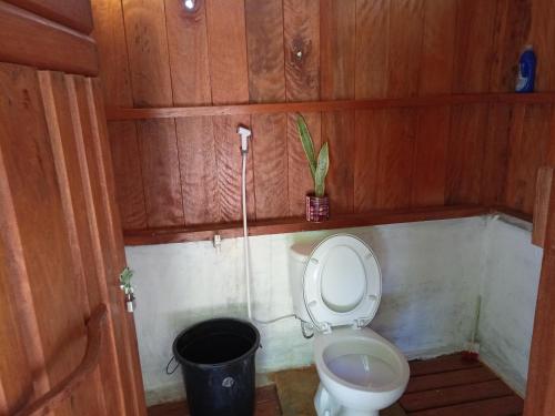 La salle de bains est pourvue de toilettes et d'une plante en pot. dans l'établissement Sunset homestay, à Besir