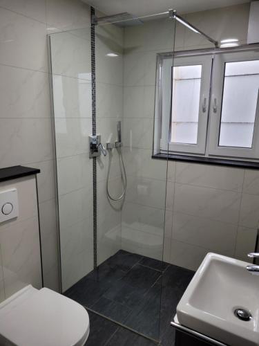 een badkamer met een douche, een toilet en een wastafel bij Modernes Appartement Mia in Dätzingen