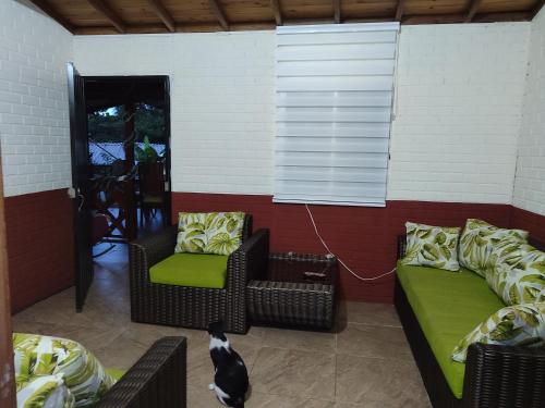 un chat assis sur une terrasse avec un canapé et une chaise dans l'établissement Villa Lucy, à Charalá