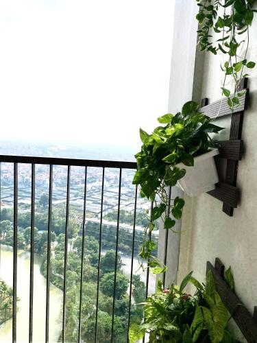 Ecopark Happy Haven – Photos 3