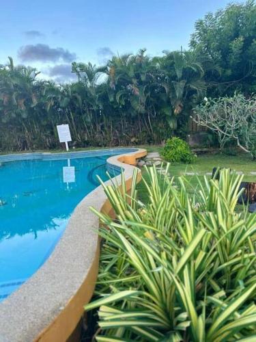 a swimming pool in a resort with some plants at Ambitious Apartment Lot 7 in Nadi