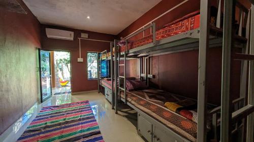 a room with two bunk beds with a rug at HostelExp, Gokarna - A Slow-Paced Backpackers Community in Gokarna