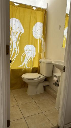 uma casa de banho com um WC e uma cortina de chuveiro amarela. em Casa Fuerteventura em Santiago