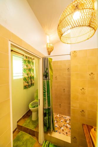 a bathroom with a shower and a toilet and a chandelier at Martinique Treehouse in Canton Suisse