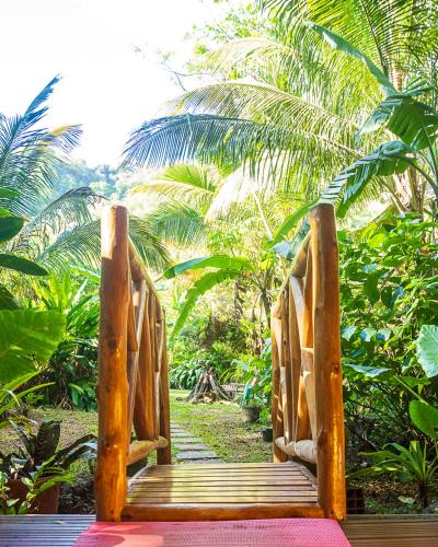 a wooden bench in a garden with palm trees at Martinique Treehouse in Canton Suisse