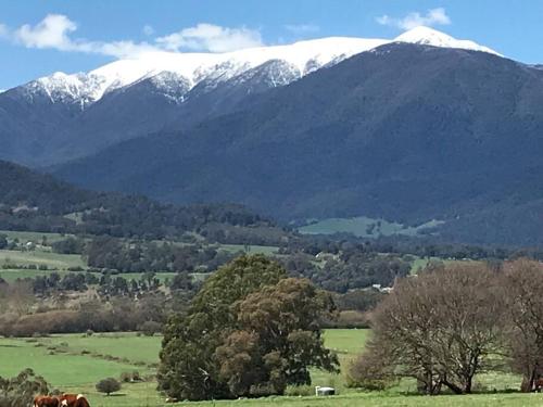 a mountain range with snow covered mountains in a field at Perfect Country Home in Tawonga