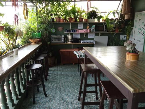 uma sala com mesas e cadeiras e vasos de plantas em Marco Polo Guest House em Kuching