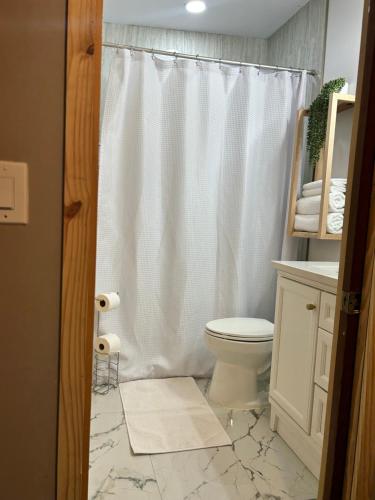a bathroom with a toilet and a shower curtain at Sweet Tiny Cabin in Tampa