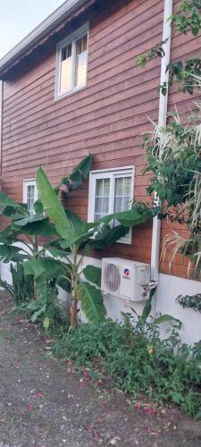 a red house with a tree in front of it at Le Cosy Bungalow de Lili / 5min de l'aéroport in Les Abymes