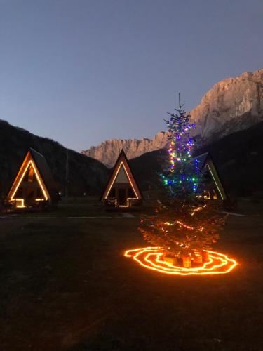 a christmas tree with lights in front of a house at Etno apartmani Komarnica in Šavnik