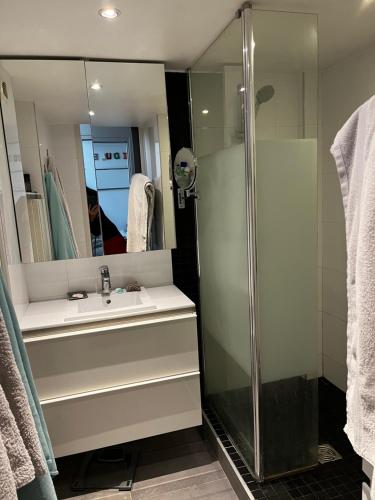uma casa de banho com um lavatório e um chuveiro em Loft 80 m2 aux portes de Paris, La Défense et proche Versailles em Puteaux