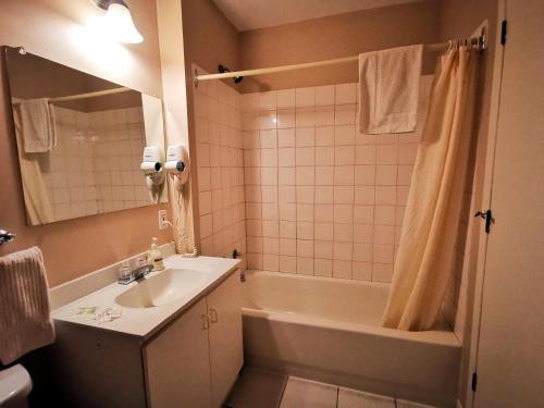 a bathroom with a sink and a tub and a mirror at Hotel Alila in Saint-Sauveur-des-Monts