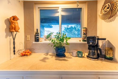 a kitchen counter with a coffee maker and a window at Winnemucca Heights in Cascade-Chipita Park