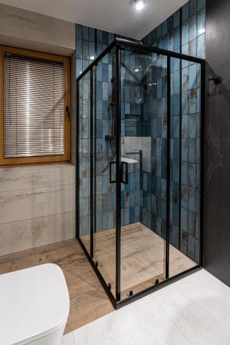 a glass shower in a bathroom with a toilet at Willa Trawers in Zakopane