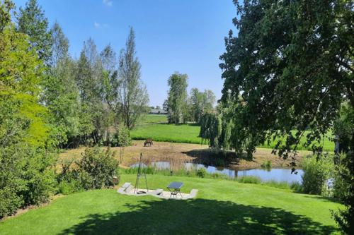 a park with a bench next to a pond at De Opkikker 10 persoons vakantiehuis met hottub in Giethoorn