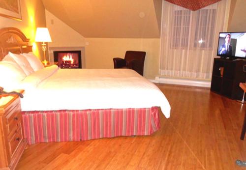 a hotel room with a bed and a television at Hotel Alila in Saint-Sauveur-des-Monts