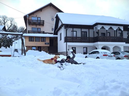 two people and a dog laying in the snow at Pensiunea Sarah Bran in Bran