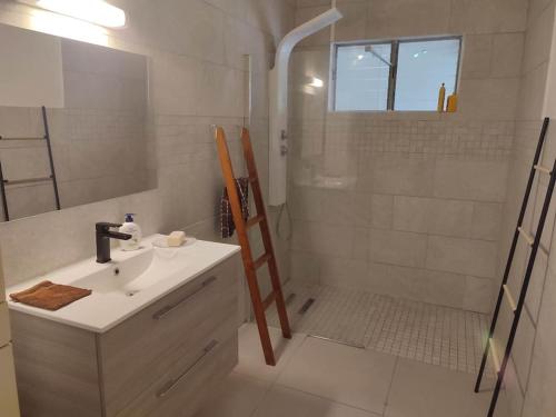 een badkamer met een wastafel en een douche bij Loue Maison entière in Cilaos