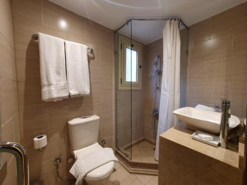 a bathroom with a toilet and a sink and a shower at The Cosy Hotel in Zamalek in Cairo