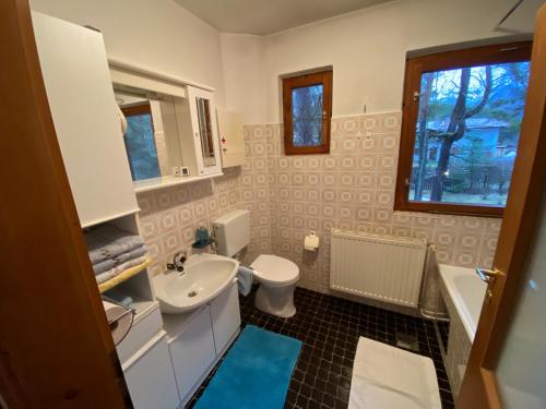 a bathroom with a sink and a toilet at Ferienhaus Schuchter in Sautens