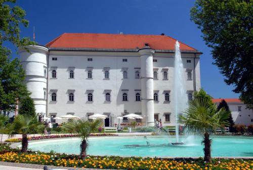 a building with a fountain in front of it at Haus Altenmarkt in Möllbrücke