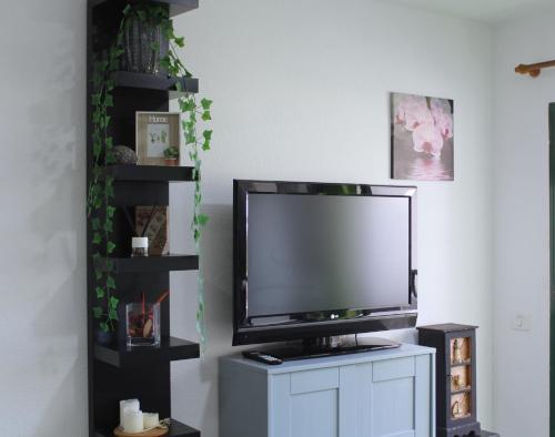 Surycan Tropical Garden Apartment