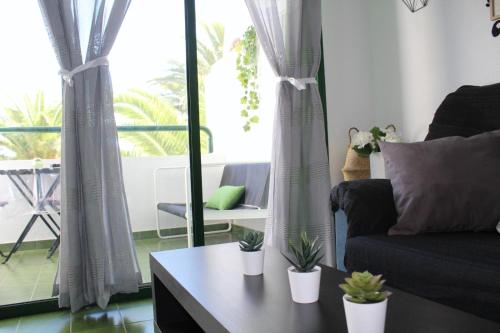 Surycan Tropical Garden Apartment