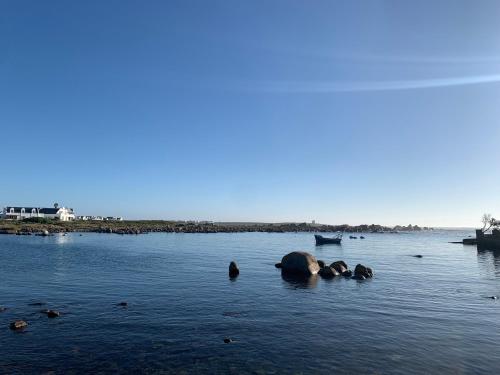 a group of ducks swimming in the water at Sea La Vie in Jacobs Bay