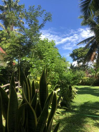 Ein Garten an der Unterkunft Candle House