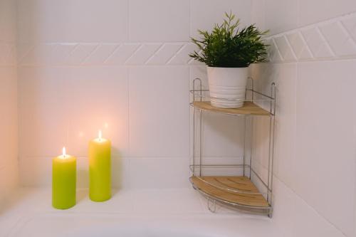 two candles and a potted plant on a shelf at Piso compartido Delyrent, SFJ in Jaén