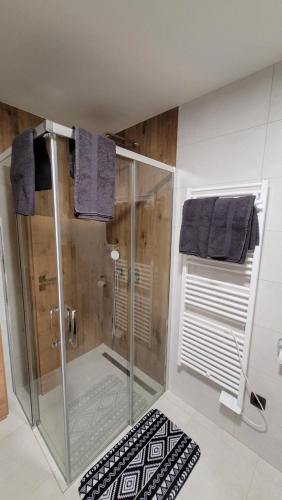 a bathroom with a shower with blue towels and a rug at Pohoda Na Hůrce in Horní Planá