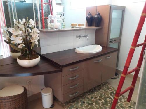 a bathroom with a counter with a sink and a mirror at Studio cosy au Lamentin in Lamentin