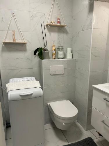 une salle de bain blanche avec des toilettes et un lavabo dans l'établissement Appartement frontière Luxembourg, à Thionville