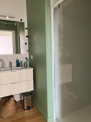 une salle de bain avec une douche, un lavabo et un miroir dans l'établissement Villa avec piscine chauffée, à Arès