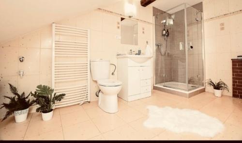 a bathroom with a toilet and a shower and a sink at Apartmán Penelope in Žatec