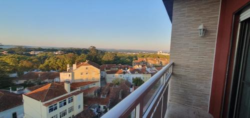 Caldas da Rainha's Green & Brown