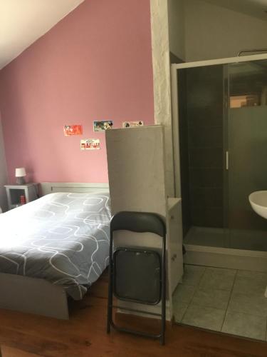 1 dormitorio con cama, ducha y lavamanos en La Varenne, en Changy