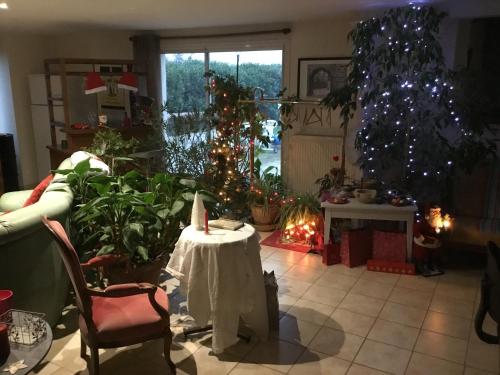a living room with christmas trees and a table at La Varenne in Changy