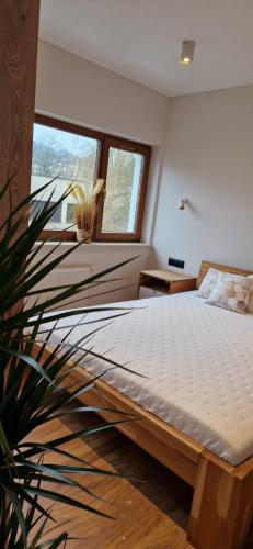 a bedroom with a bed and a plant at Royal 111 in Kołobrzeg