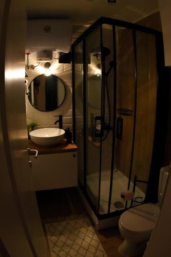 a bathroom with a shower and a sink and a toilet at Mina Apartment in Skopje