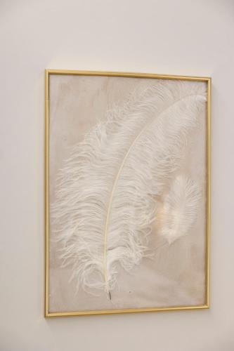 a picture of a white feather in a gold frame at Enchanting Suites Salerno in Salerno